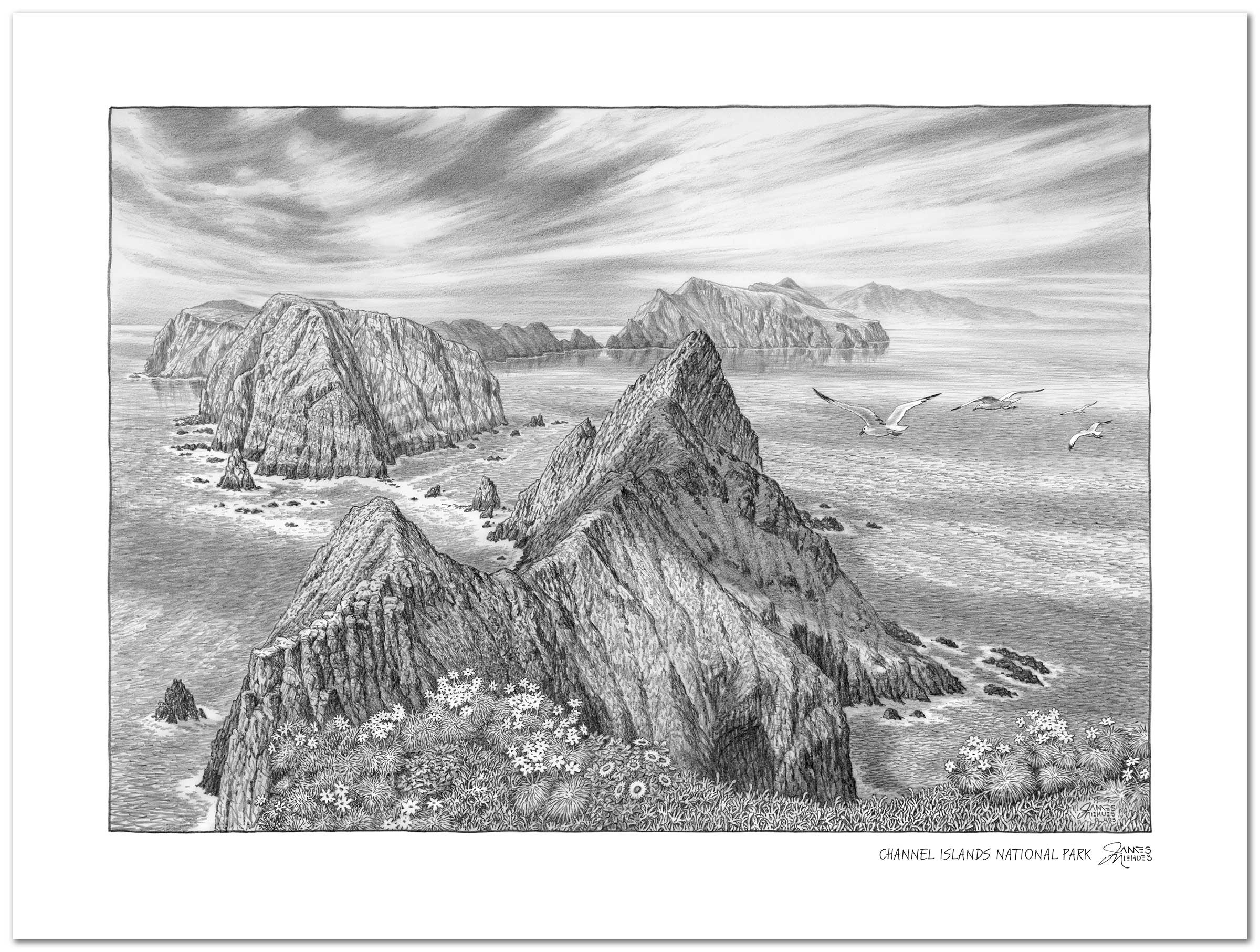 Channel Islands Sketch