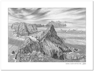 Channel Islands Sketch