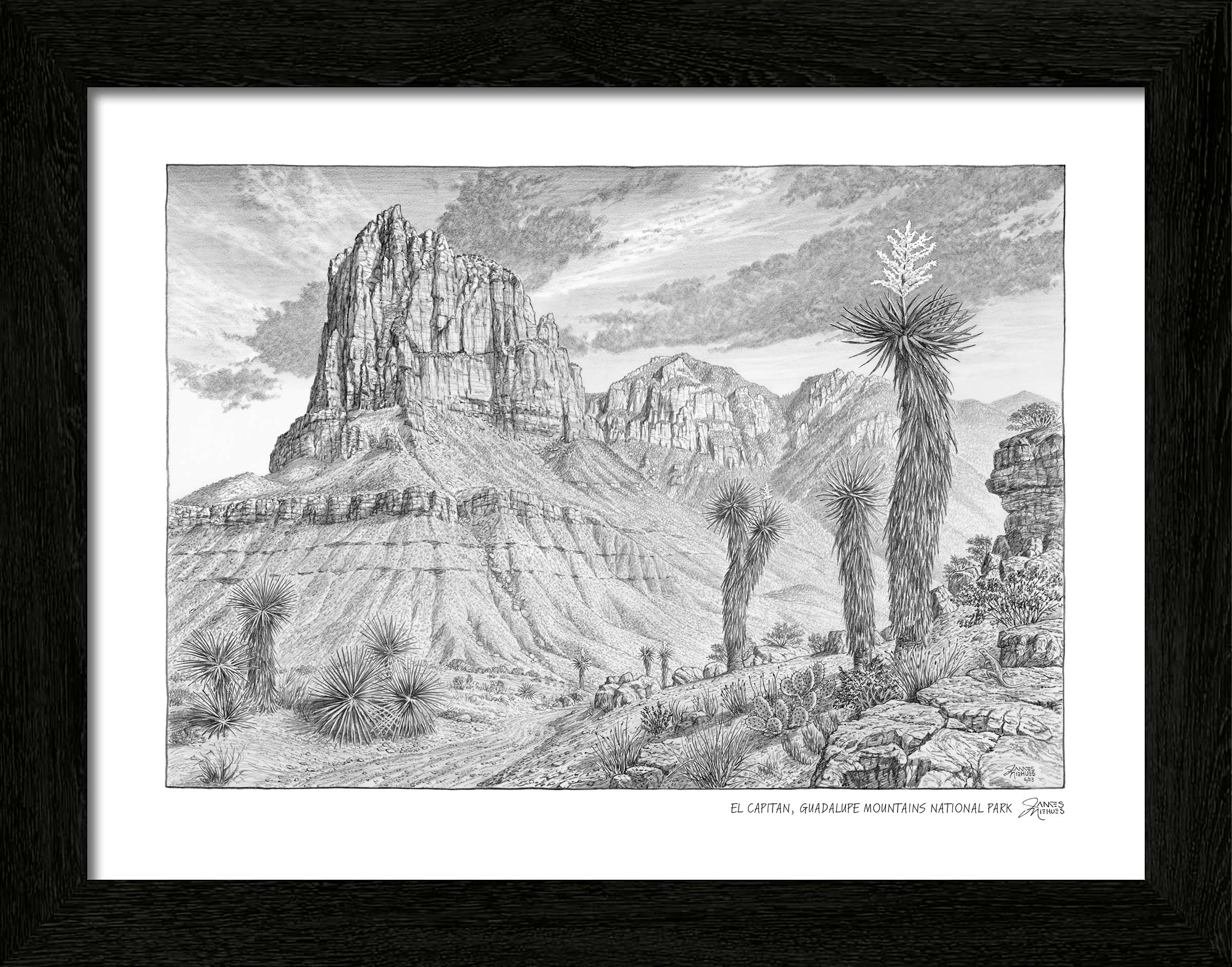 Guadalupe Mountains Sketch