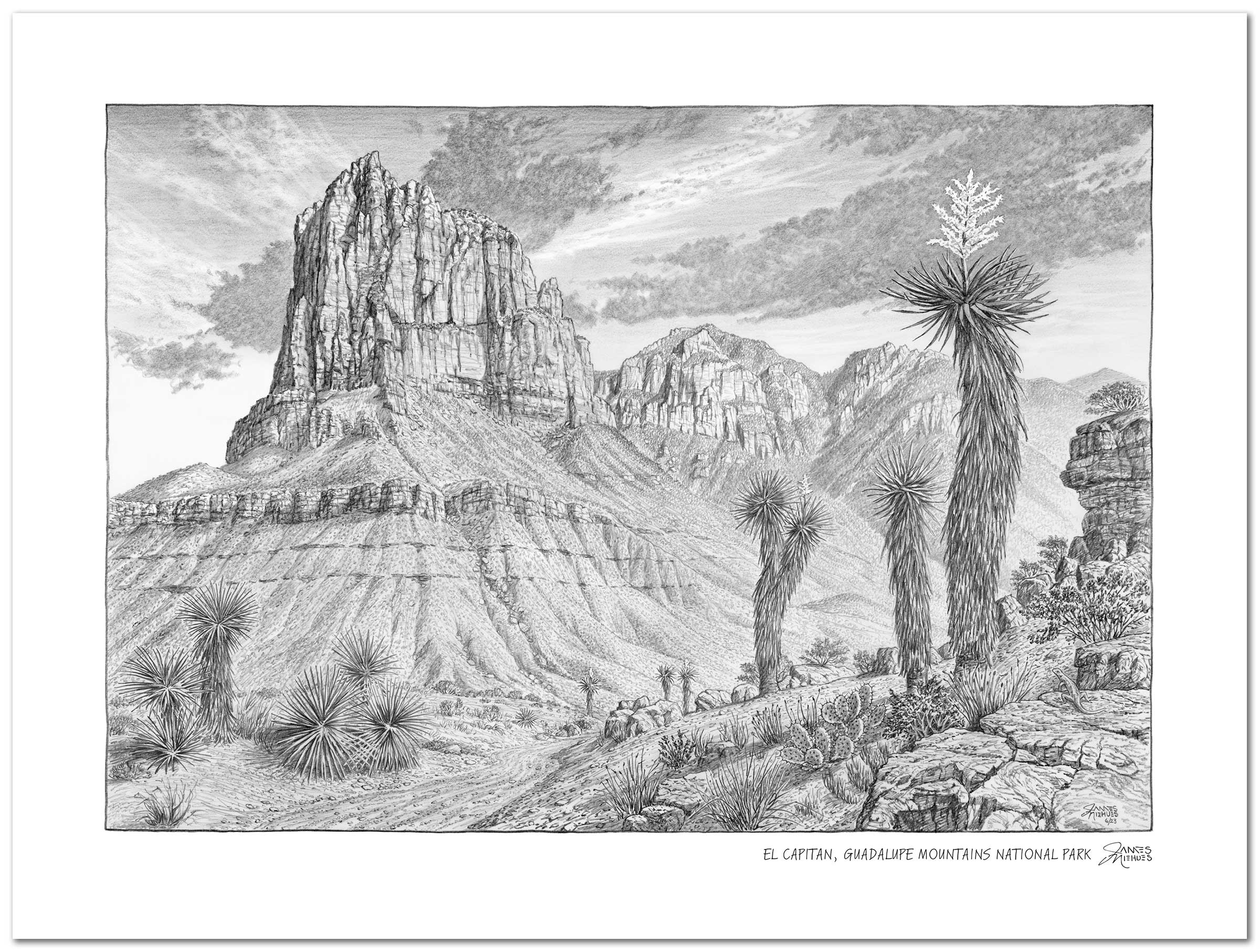 Guadalupe Mountains Sketch