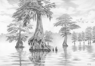 Great Dismal Swamp Sketch