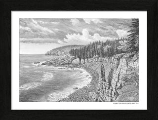 Acadia National Park Sketch