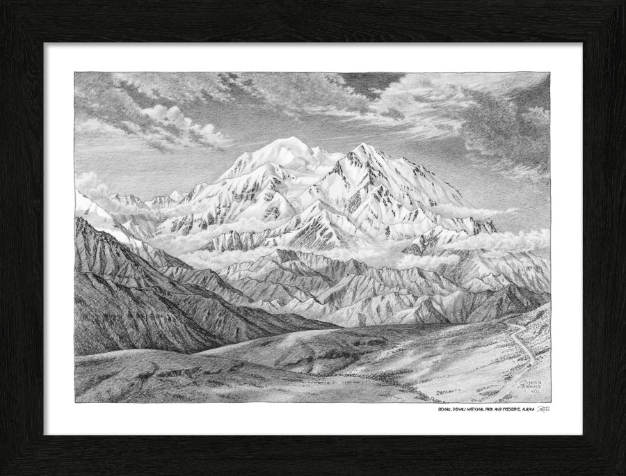 Denali National Park Sketch