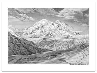 Denali National Park Sketch