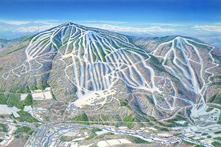 Signed Limited Edition 1994 Okemo Canvas