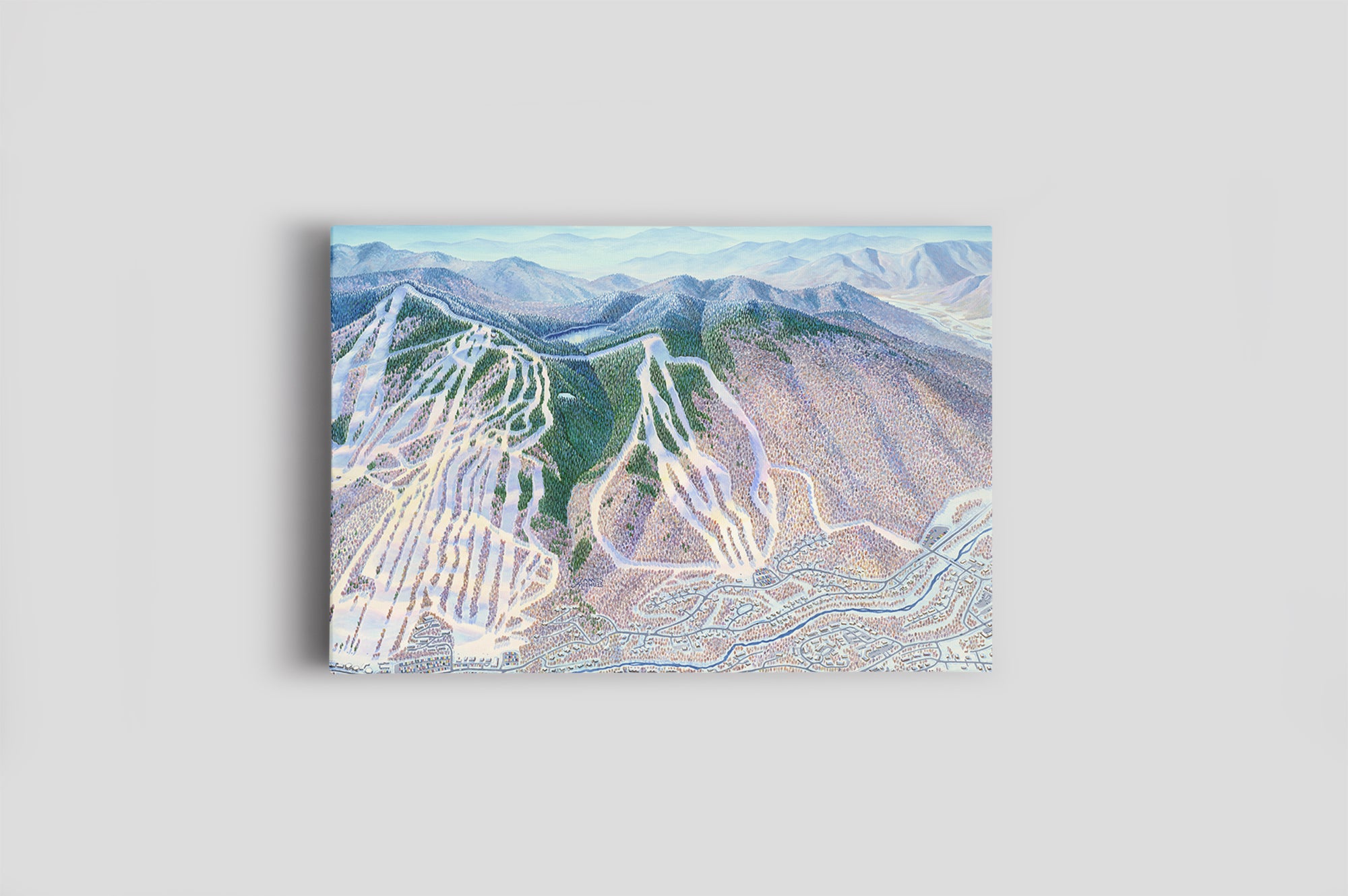 Signed Limited Edition 2011 Loon Canvas