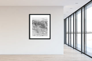 Original Loon 1991 Sketch