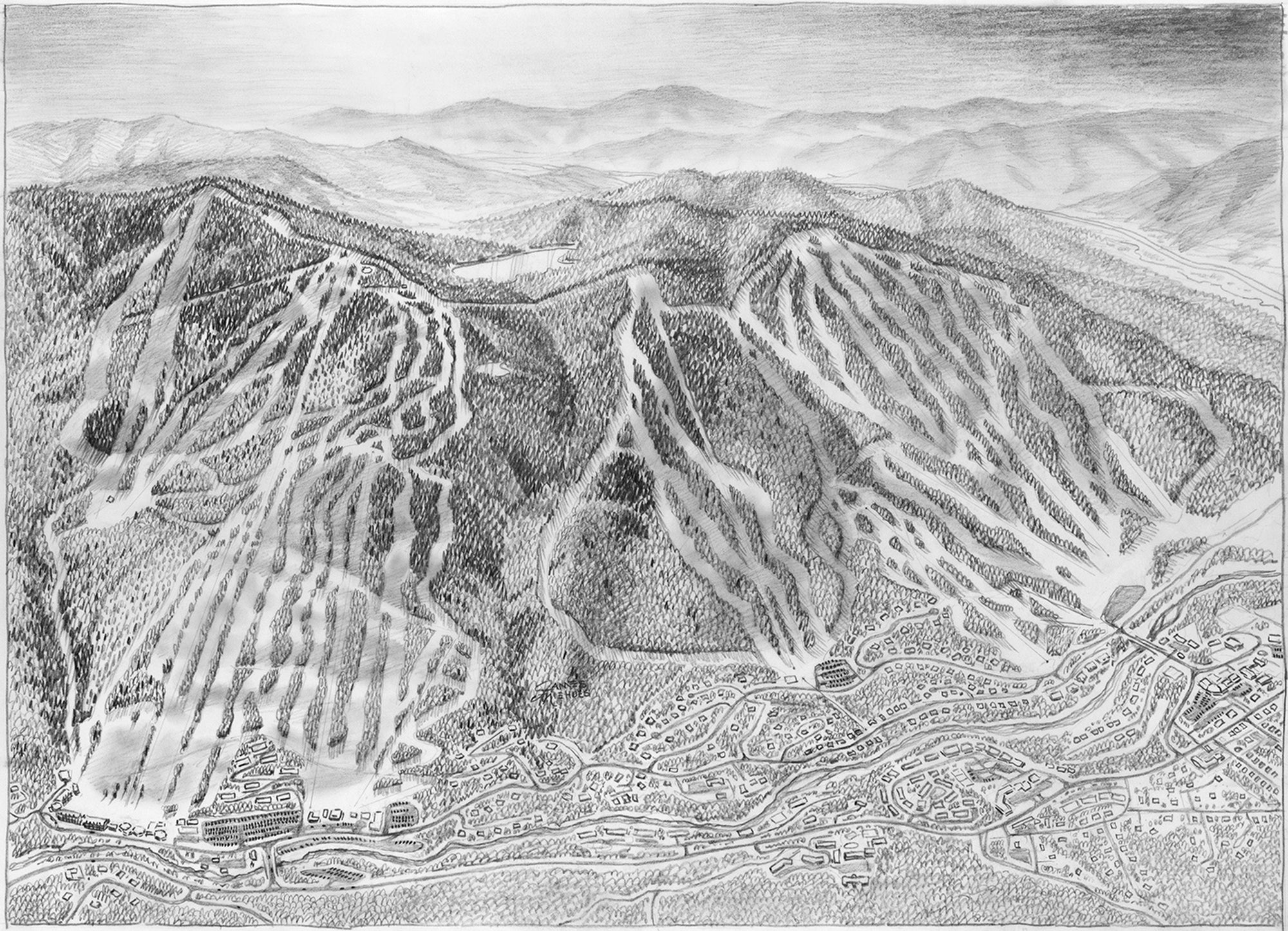 Original Loon 2011 Sketch