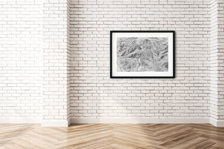 Original Deer Valley 2014 Sketch