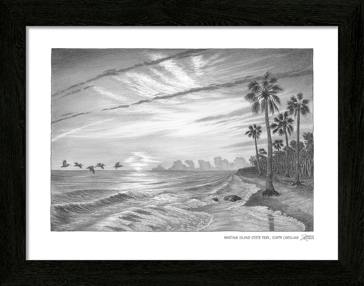 Hunting Island Sketch
