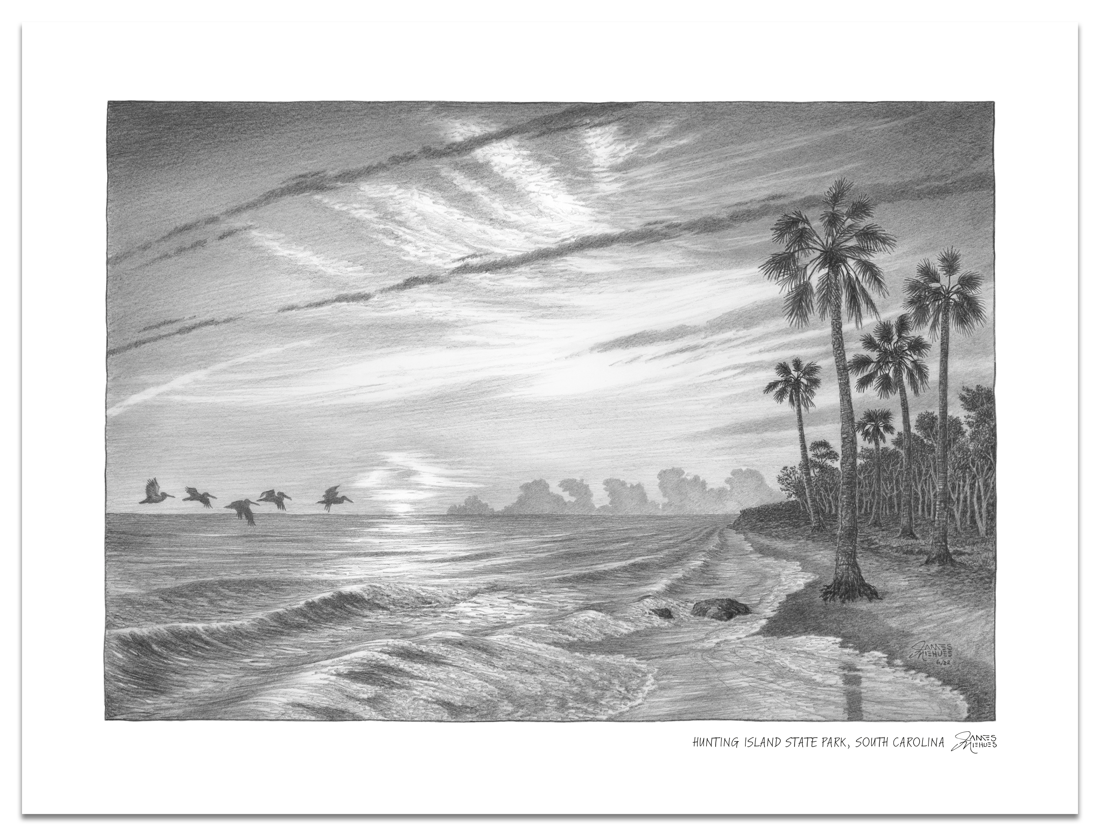 Hunting Island Sketch