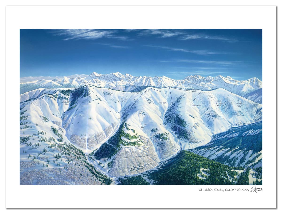 Vail Back Bowls Ski Map