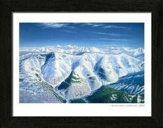 Vail Back Bowls Ski Map