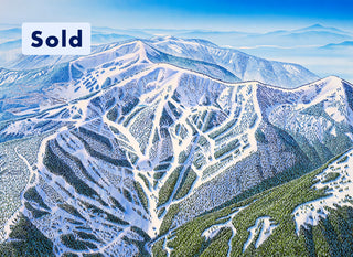 Original Schweitzer 2006 Paintings