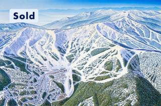 Original Schweitzer 2006 Paintings