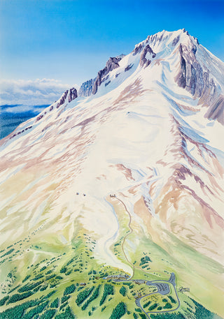 Timberline Summer Skiing Painting and Sketch