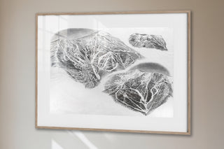 Original Schweitzer 1993 Sketch