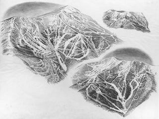 Original Schweitzer 1993 Sketch