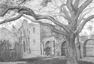 The Alamo Sketch