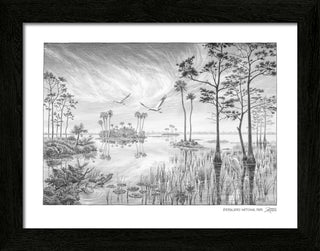 Everglades National Park Sketch