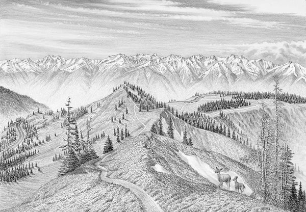Hurricane-Ridge_grande.jpg?v=