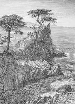 Lone Cypress Sketch