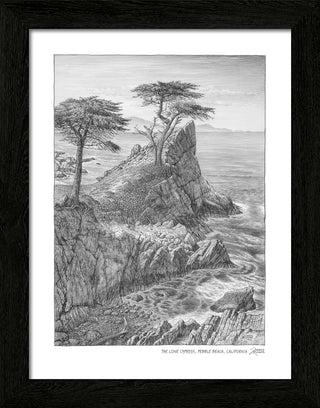Lone Cypress Sketch