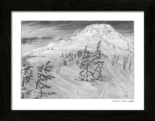 Timberline Sketch