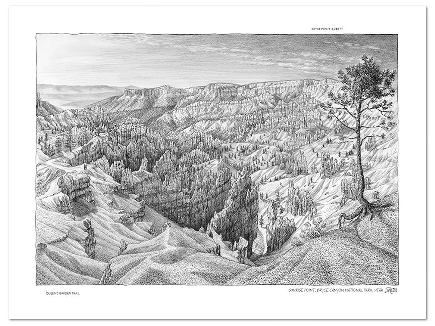 Bryce Canyon National Park Sketch